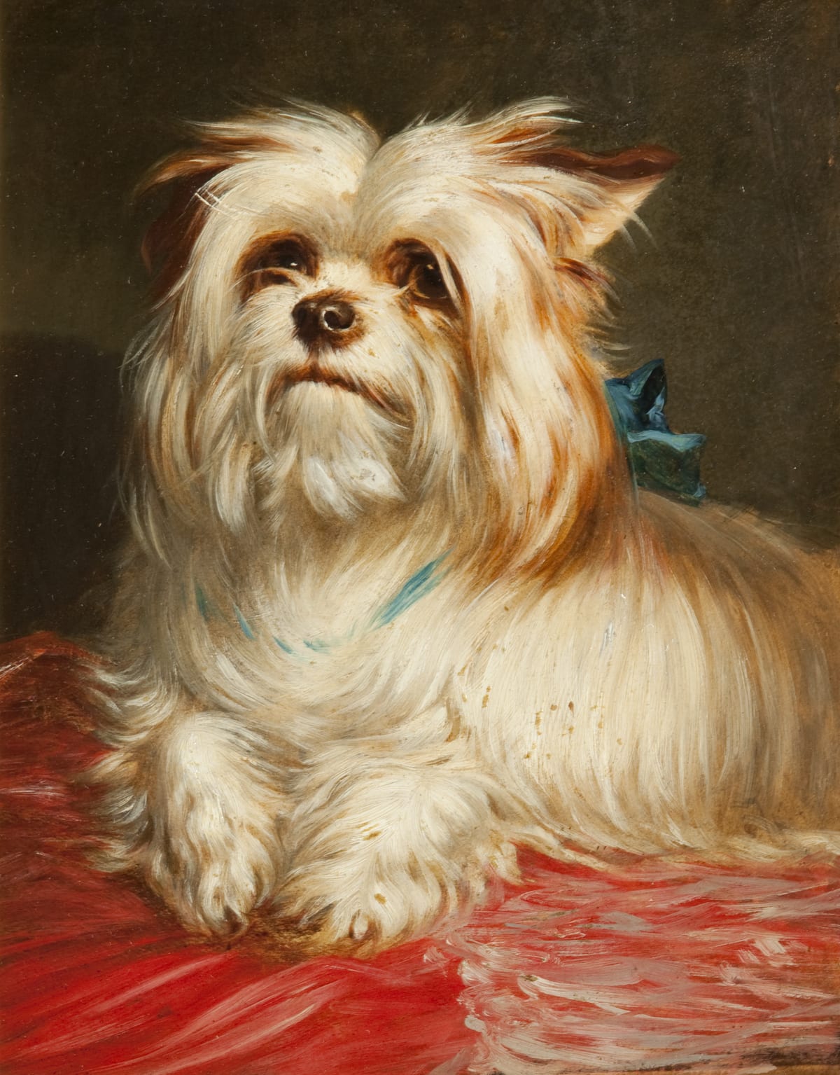 A Yorkshire Terrier by Maud Earl — small dog rendered with the same psychological specificity she gave to royal commissions