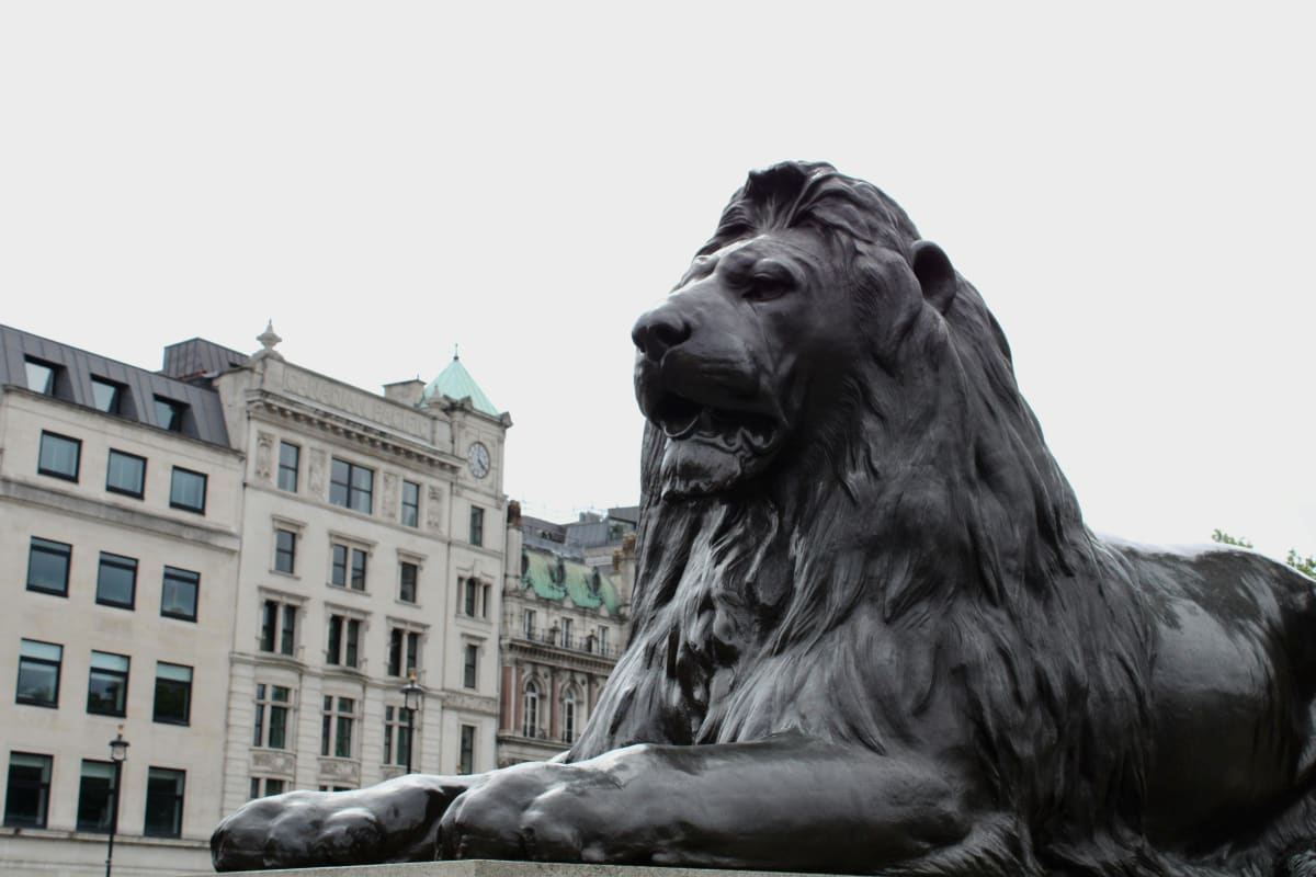 One of the four bronze lions at the base of Nelson's Column in Trafalgar Square, London — designed by Sir Edwin Landseer and cast in 1867, photographed in present-day London