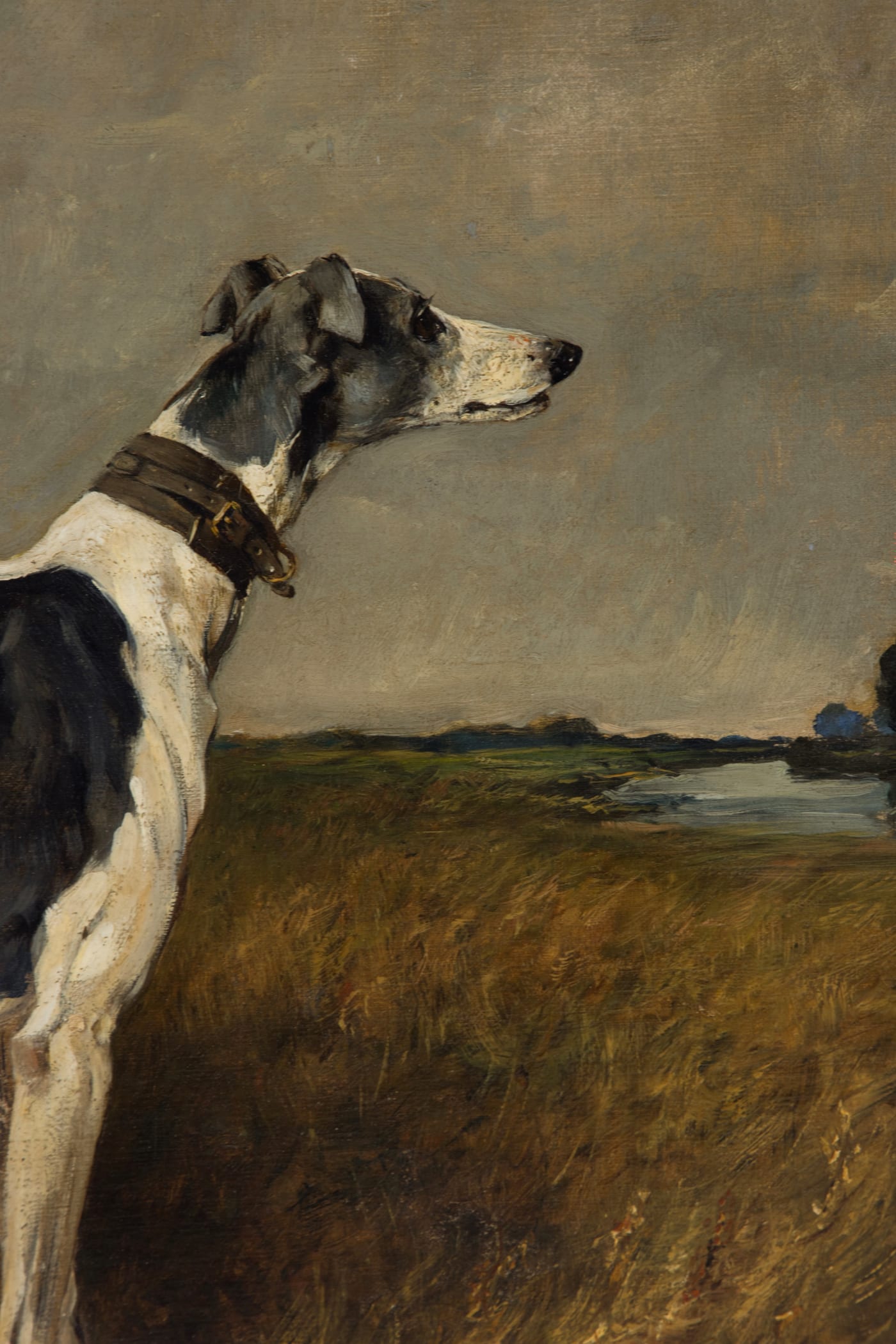 John Emms foxhound study — recently catalogued at Sworders, characteristic warm tonality and loose brushwork