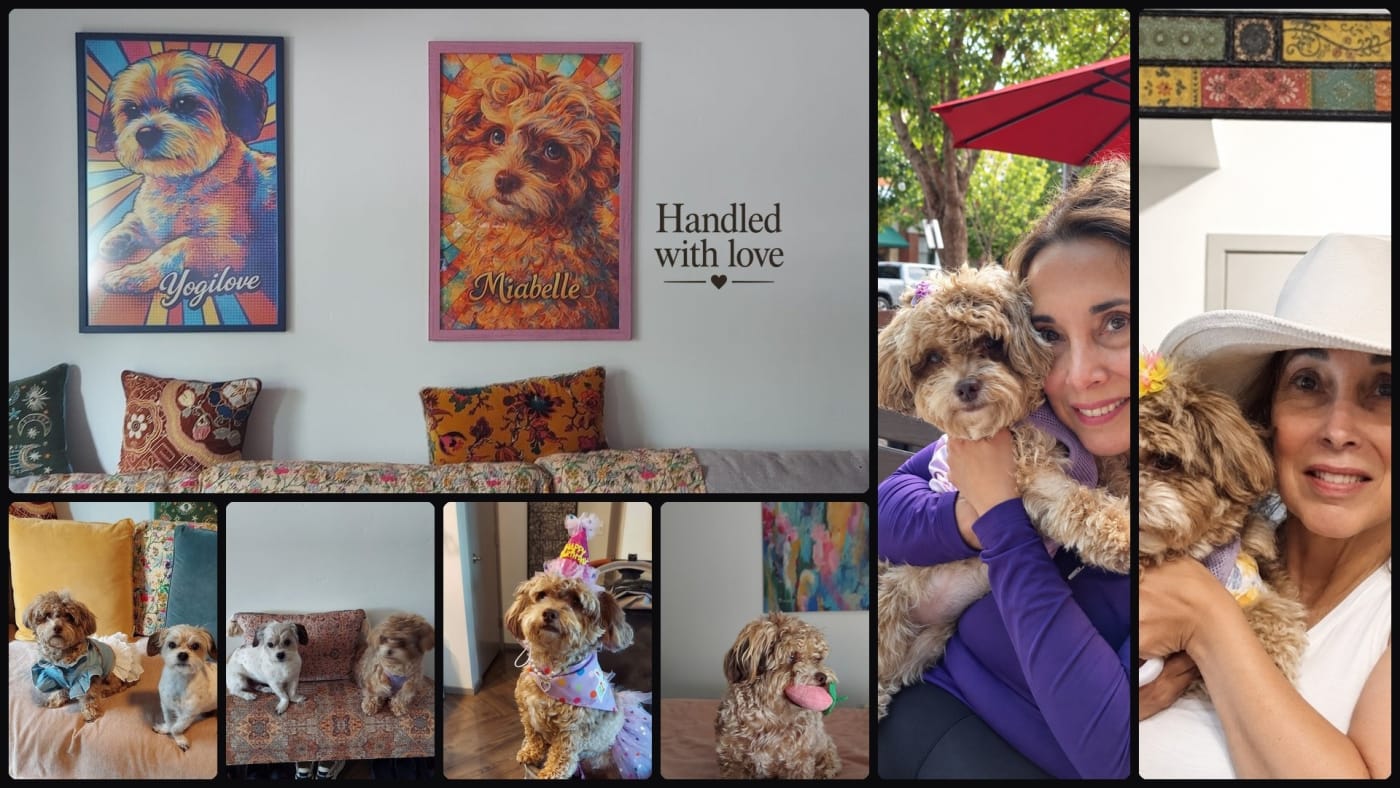 Yogilove and Miabelle on the wall, and the family who made them