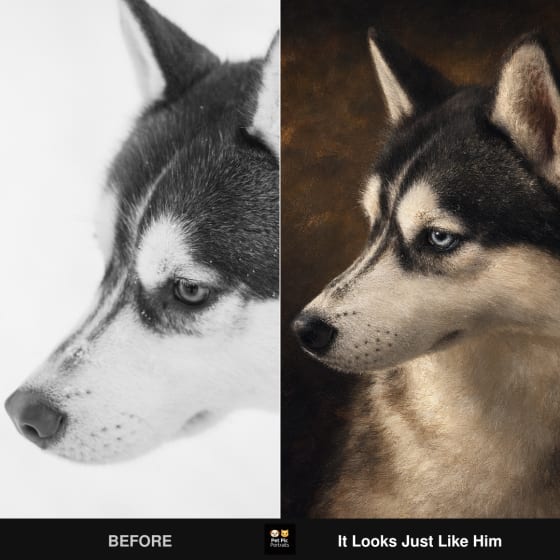 A pet photo before, and the finished custom Pet Pic Portrait after