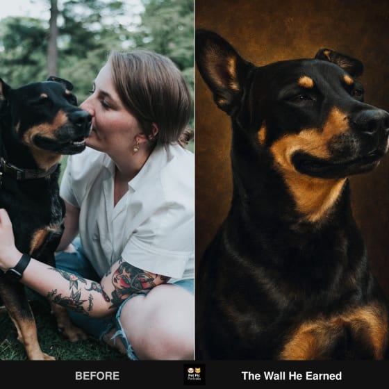 A pet photo before, and the finished custom Pet Pic Portrait after