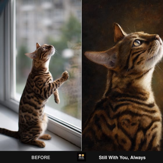 A pet photo before, and the finished custom Pet Pic Portrait after