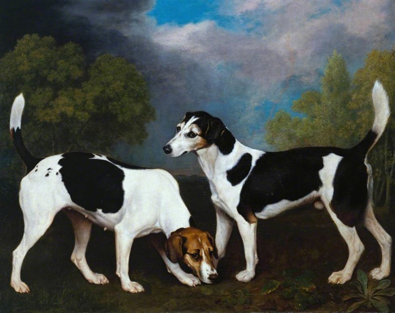A Couple of Foxhounds (1792) by George Stubbs — two hounds against a low English horizon, in the Tate collection
