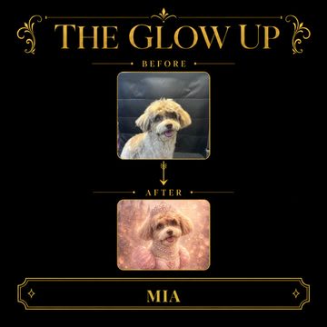 The Glow Up card from the digital package