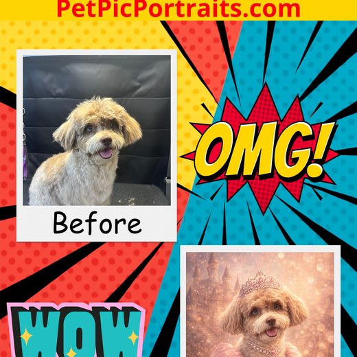 OMG WOW before and after showcase edit from the digital package