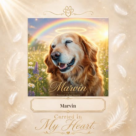 Carried in My Heart memorial keepsake card