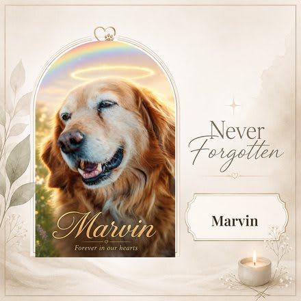 Never Forgotten memorial keepsake card