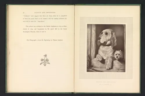 Sir Edwin Landseer, Dignity and Impudence (1839)