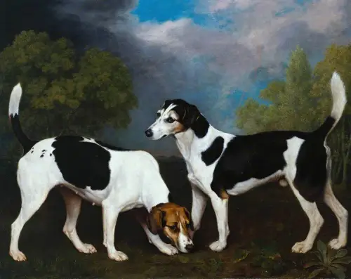 George Stubbs, A Couple of Foxhounds (1792)