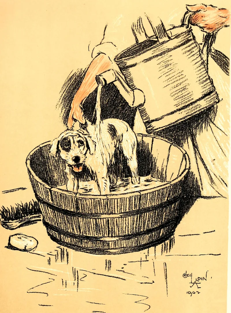 Cecil Aldin, Plate from A Dog Day (1902). Reproduced in A Dog Day; or, The Angel in the House (London, 1902).