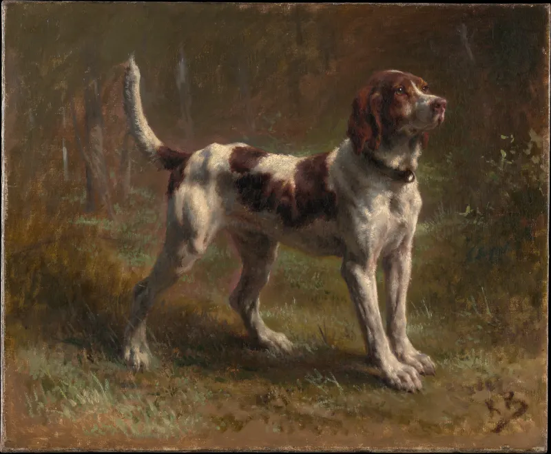 Rosa Bonheur, A Limier Briquet Hound (1856). The Metropolitan Museum of Art, New York.
