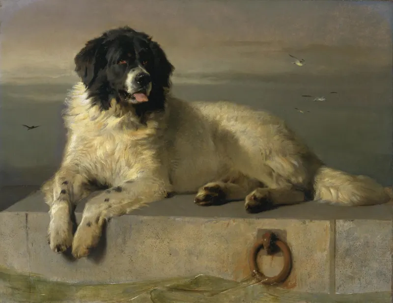 Sir Edwin Landseer, A Distinguished Member of the Humane Society (1838). Tate, London.