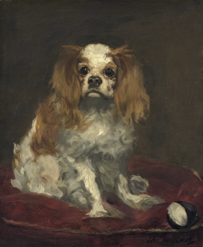 Édouard Manet, King Charles Spaniel (c. 1866). National Gallery of Art, Washington.