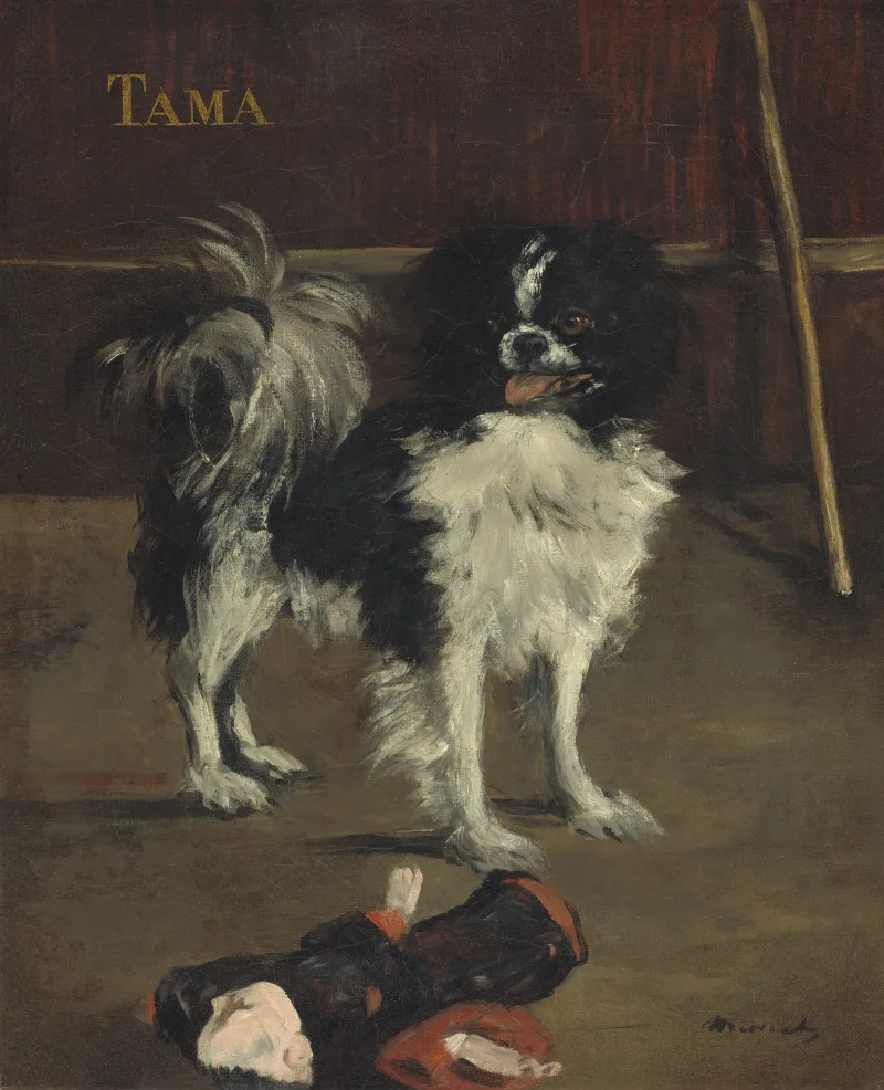 Édouard Manet, Tama, the Japanese Dog (c. 1875). National Gallery of Art, Washington.