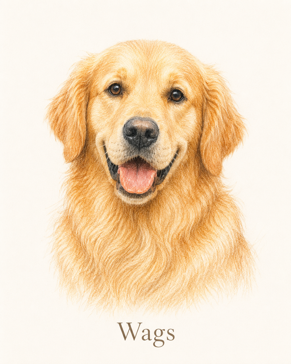 Colored pencil pet portrait — soft hand-colored pencil pet drawing made from a photo