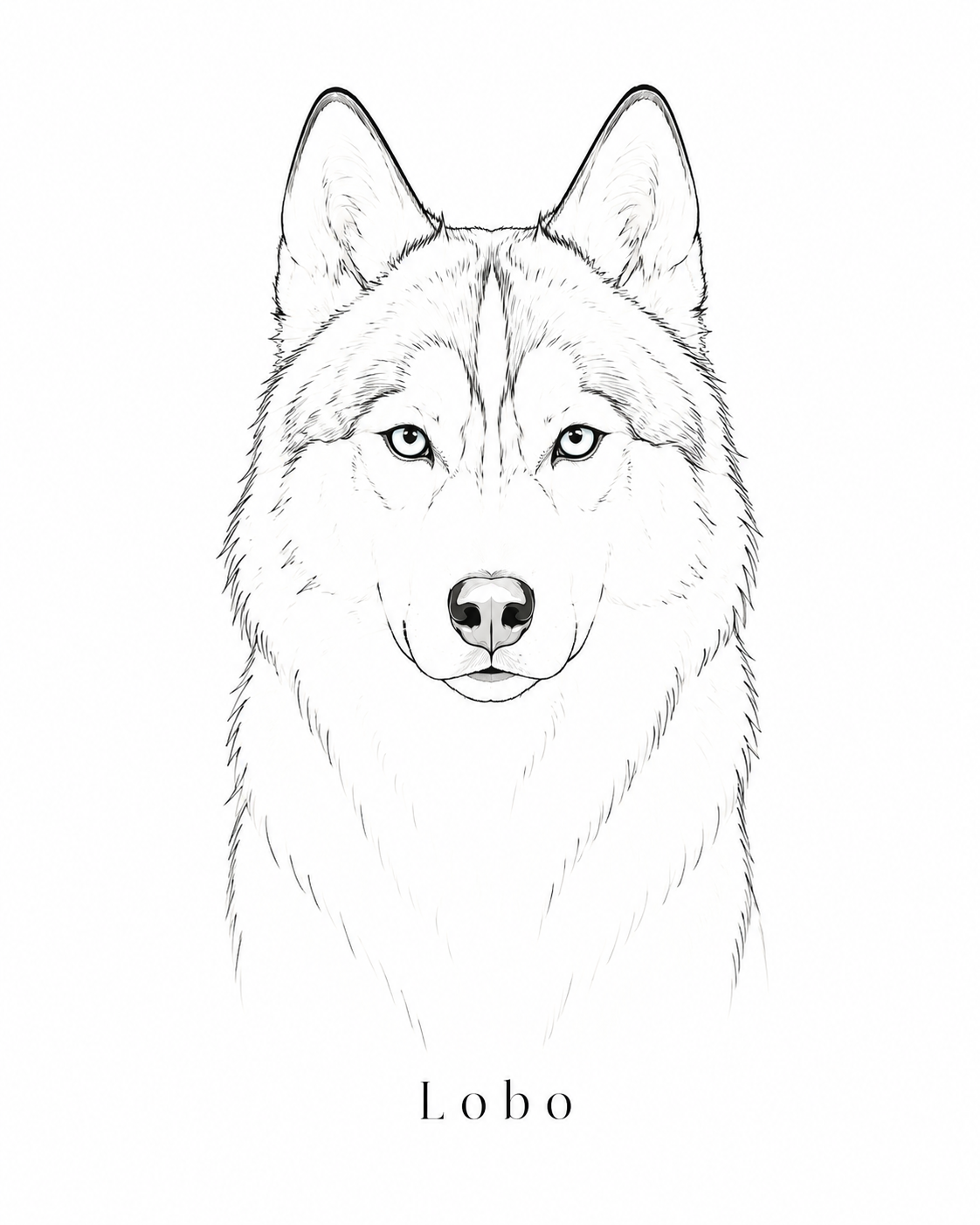 Minimal line art pet portrait of a husky — clean custom line drawing made from a photo