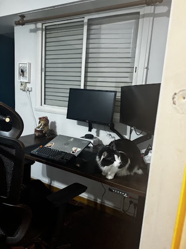 Alexander Joaquin Cardozo