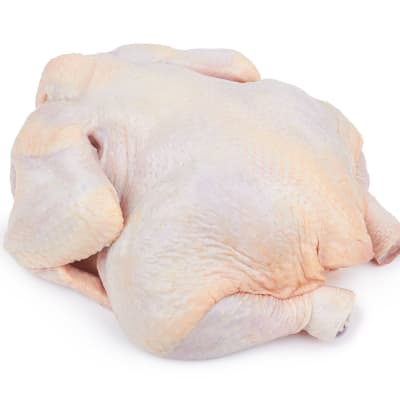 Broiler Chicken