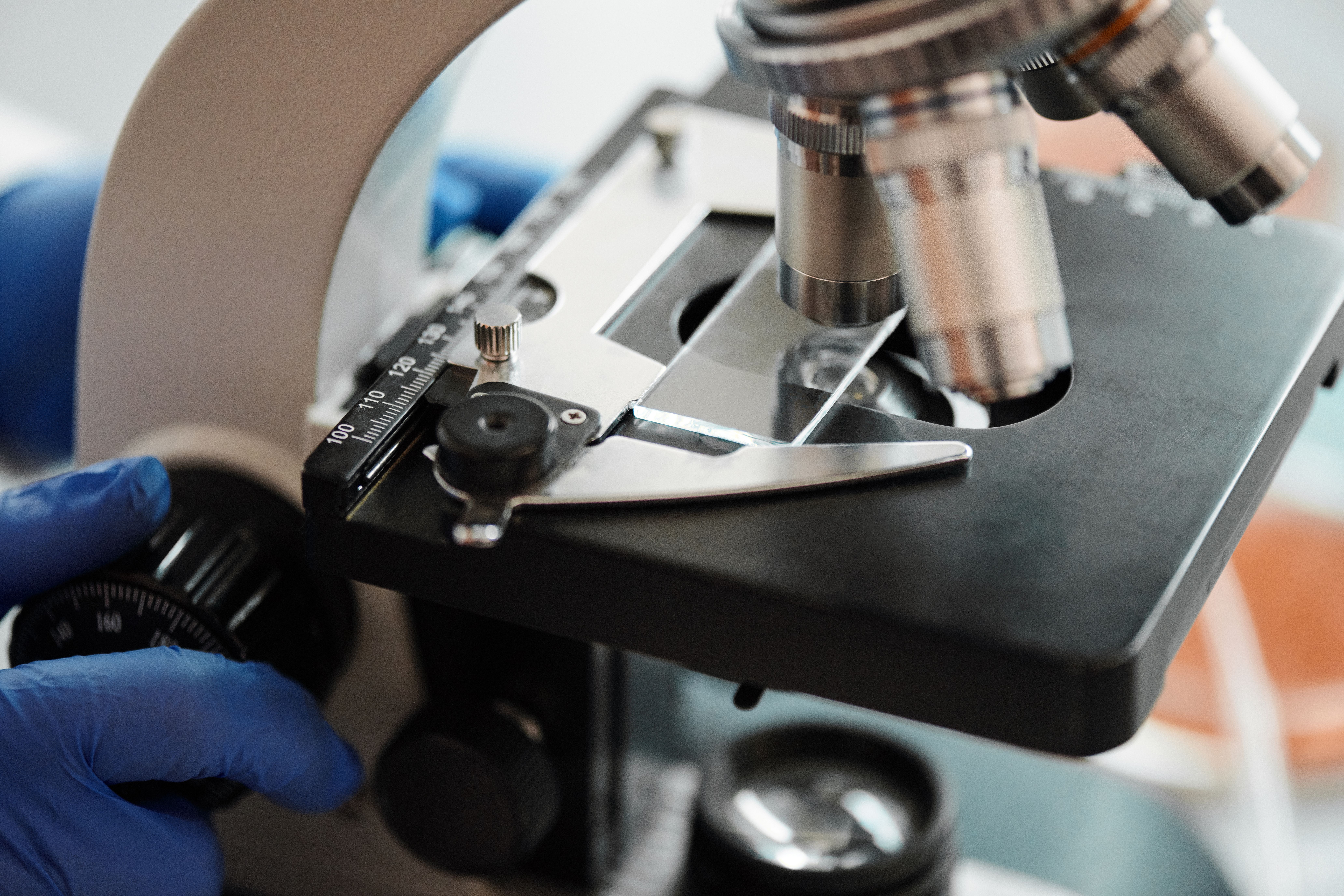 Screenshot showing proper documentation of image processing parameters in microscopy software