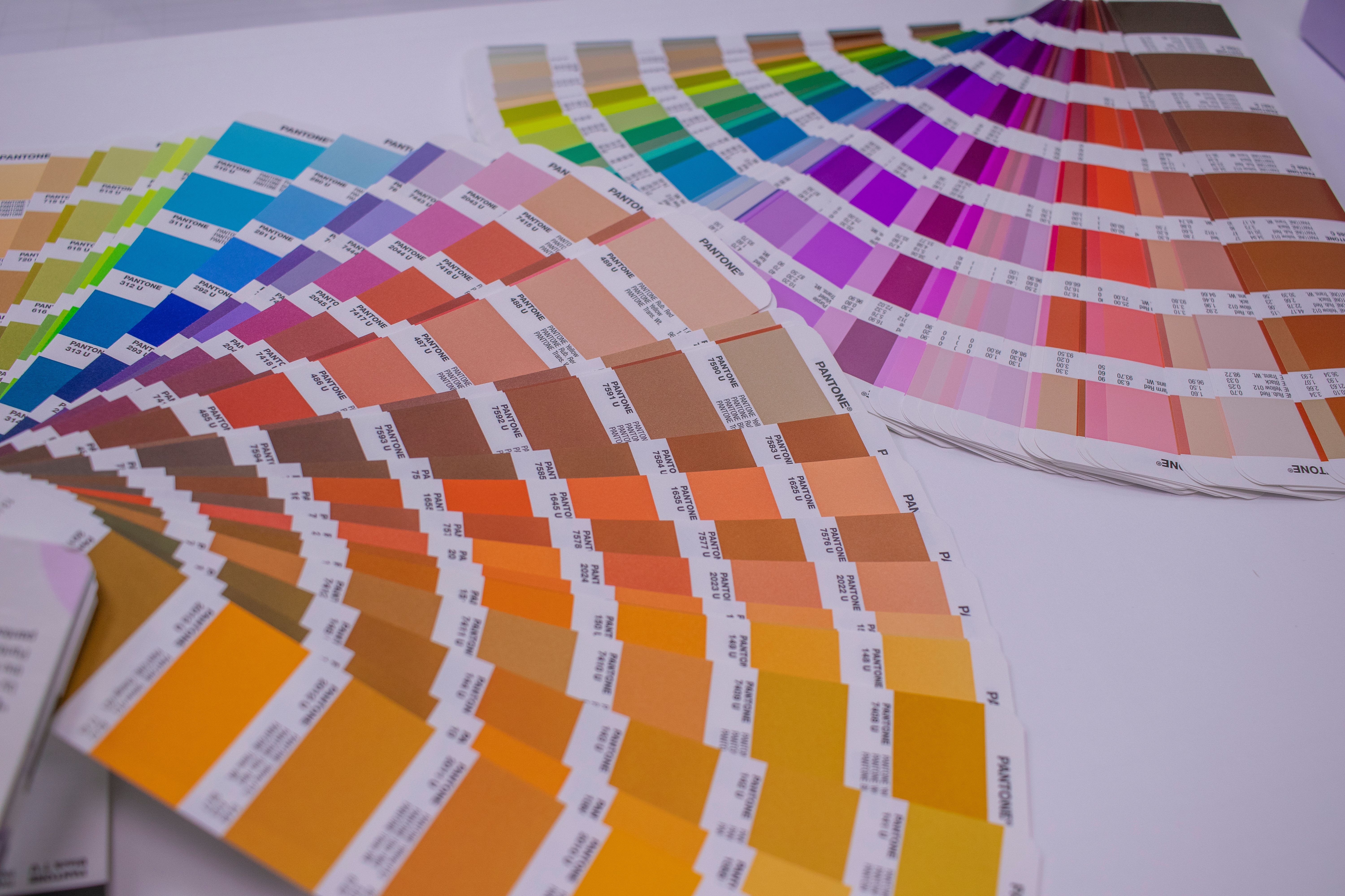 side by side comparison of RGB, CMYK, and grayscale color mode journal figures showing the same microscopy panel in three reproduction styles