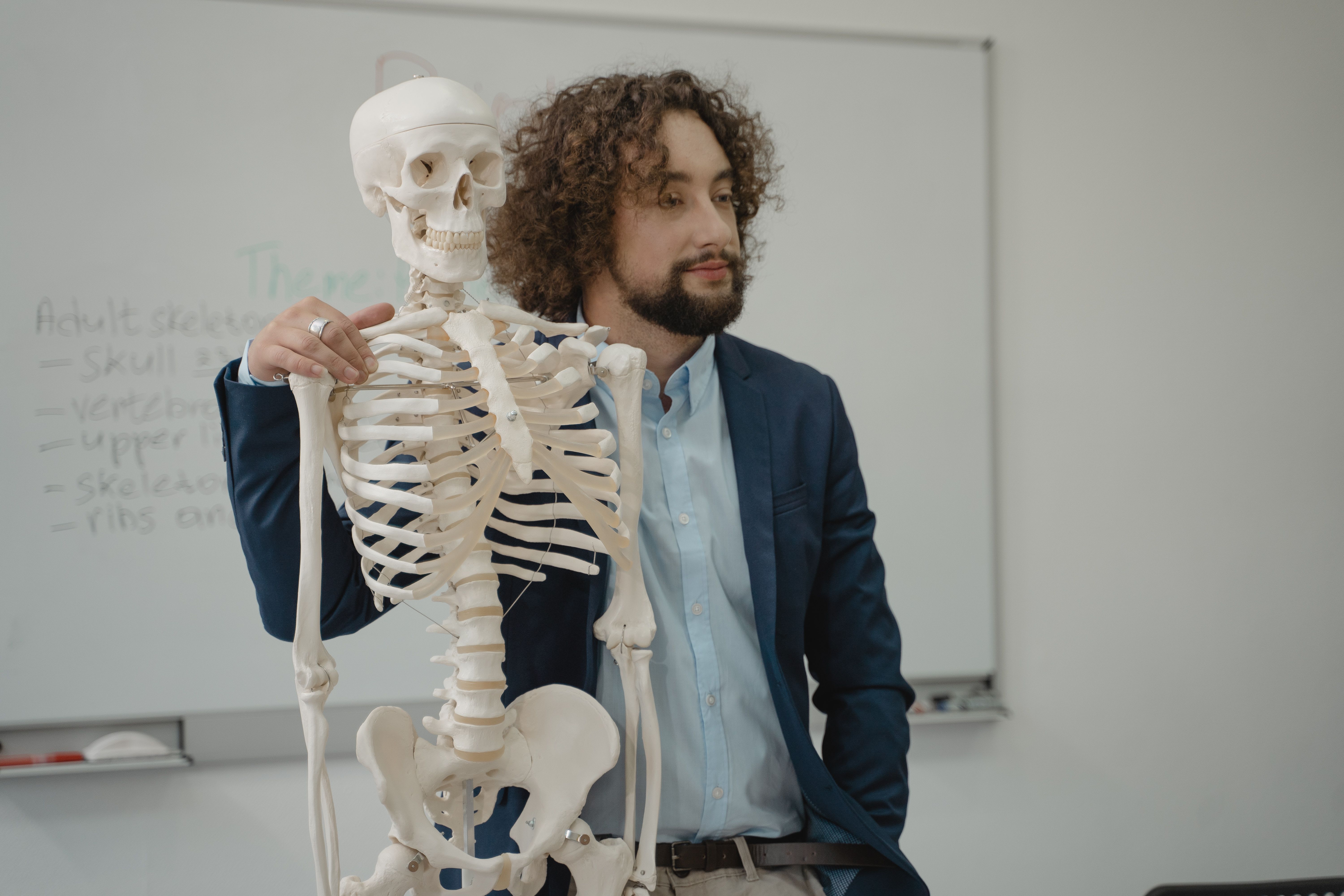 educator editing a lecture slide with anatomy icons, labels, arrows, and a clean color palette