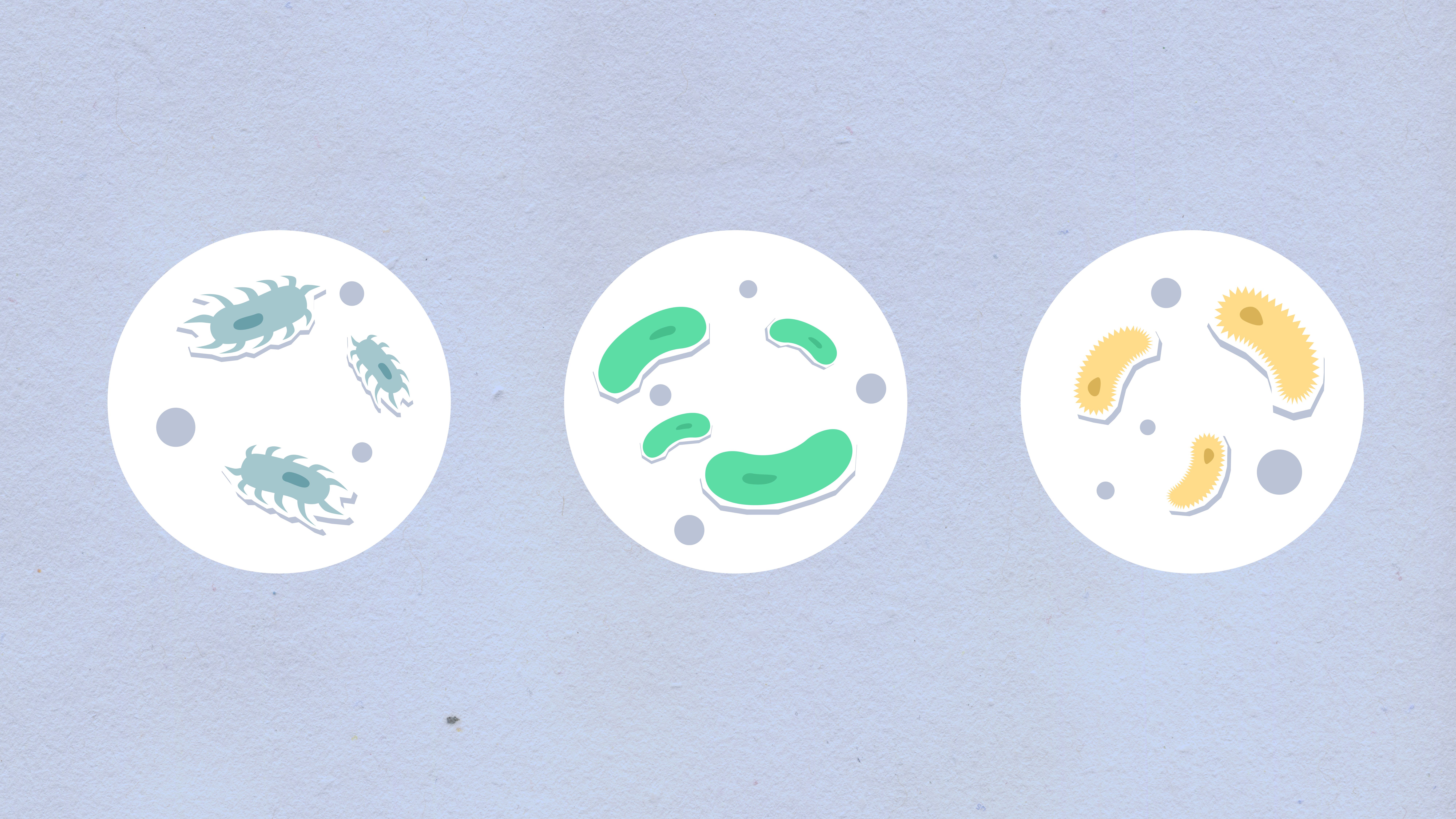 Collage showing various Bioicons being used in different contexts - research poster, journal figure, presentation slide, and educational diagram