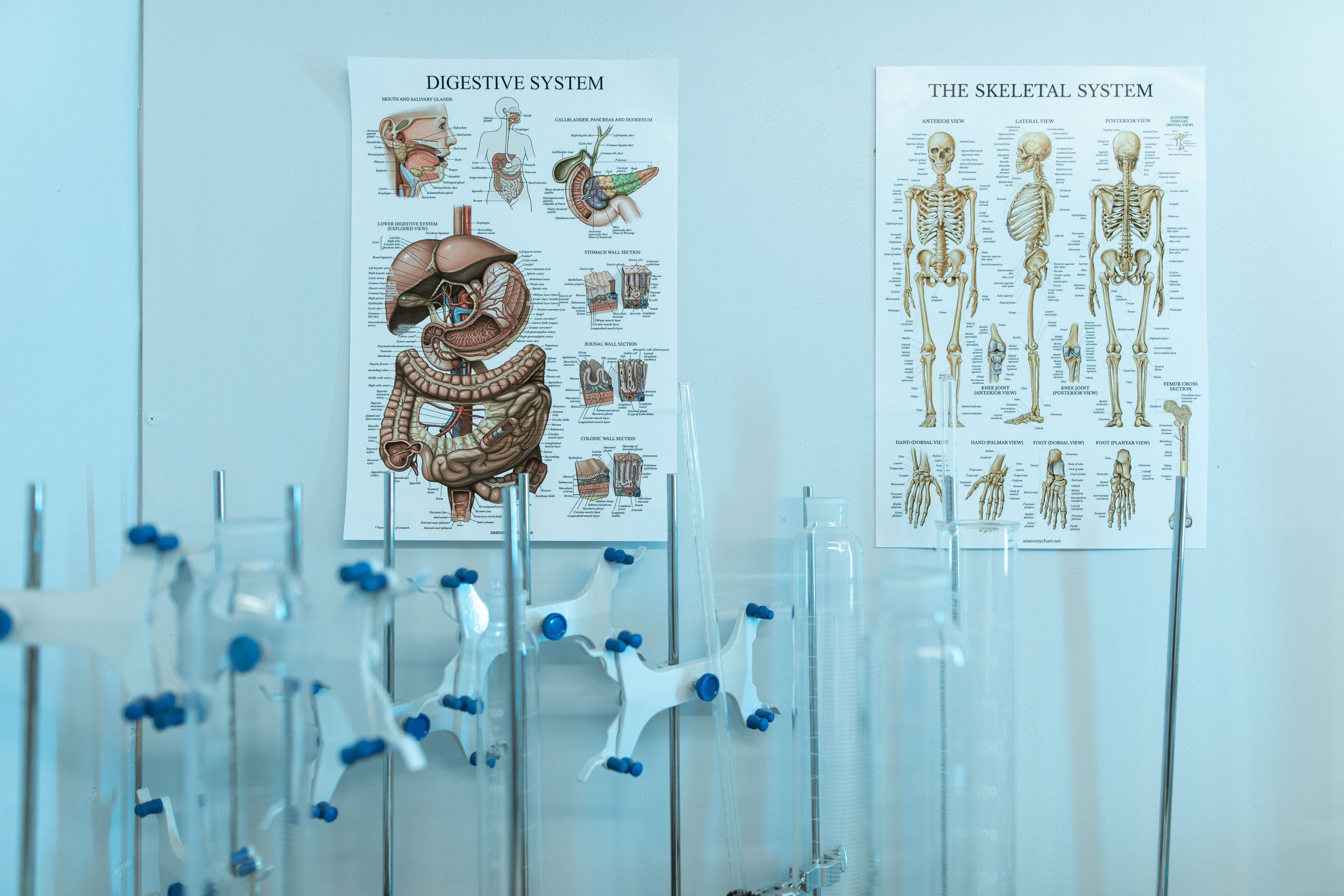 Scientific poster layout showing health icons integrated with graphs and text, demonstrating clear visual hierarchy and information flow