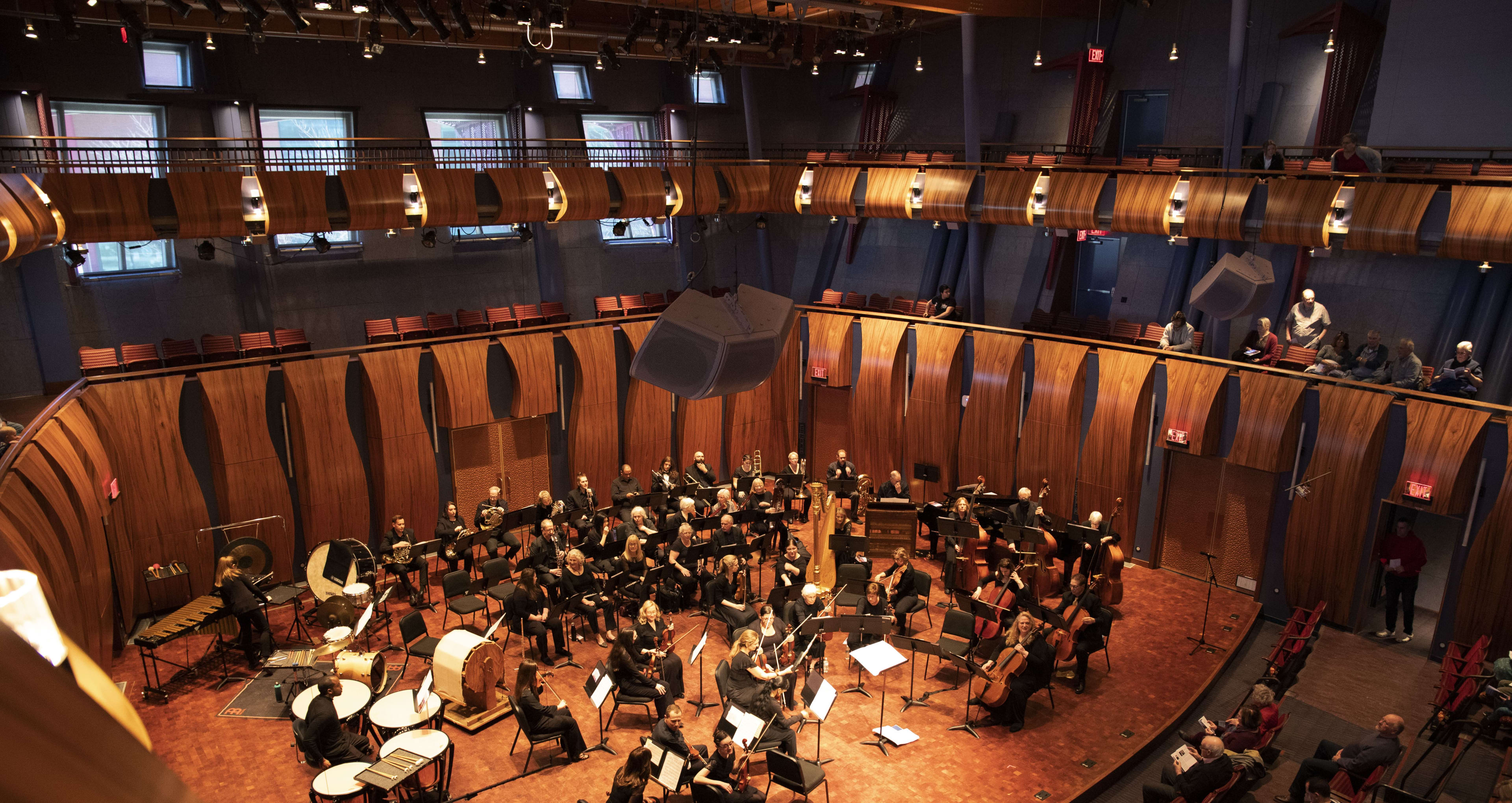 DMC Orchestra Performance