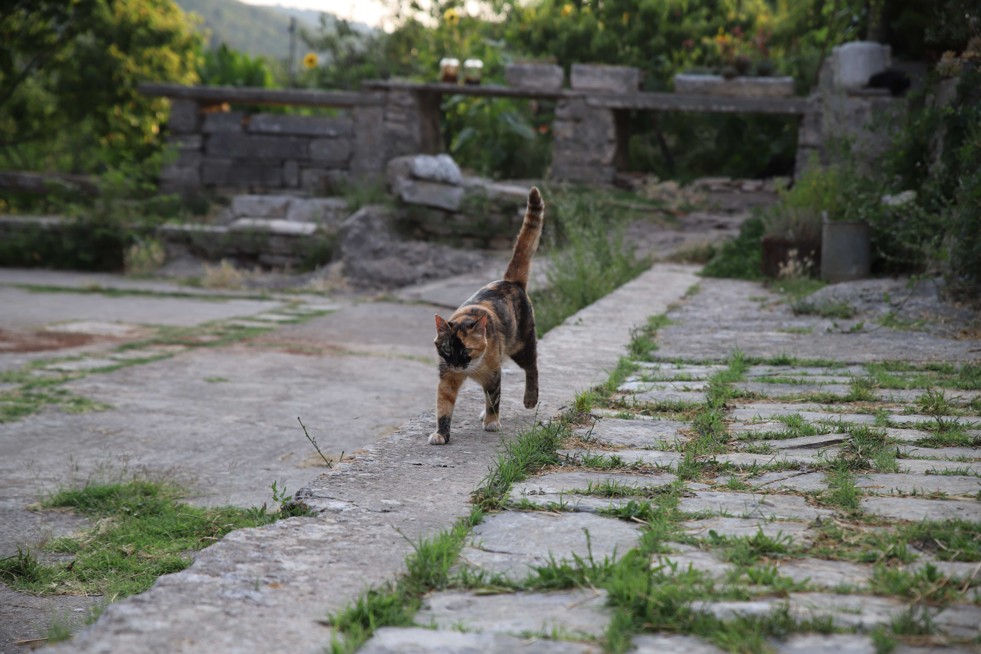 Croatia