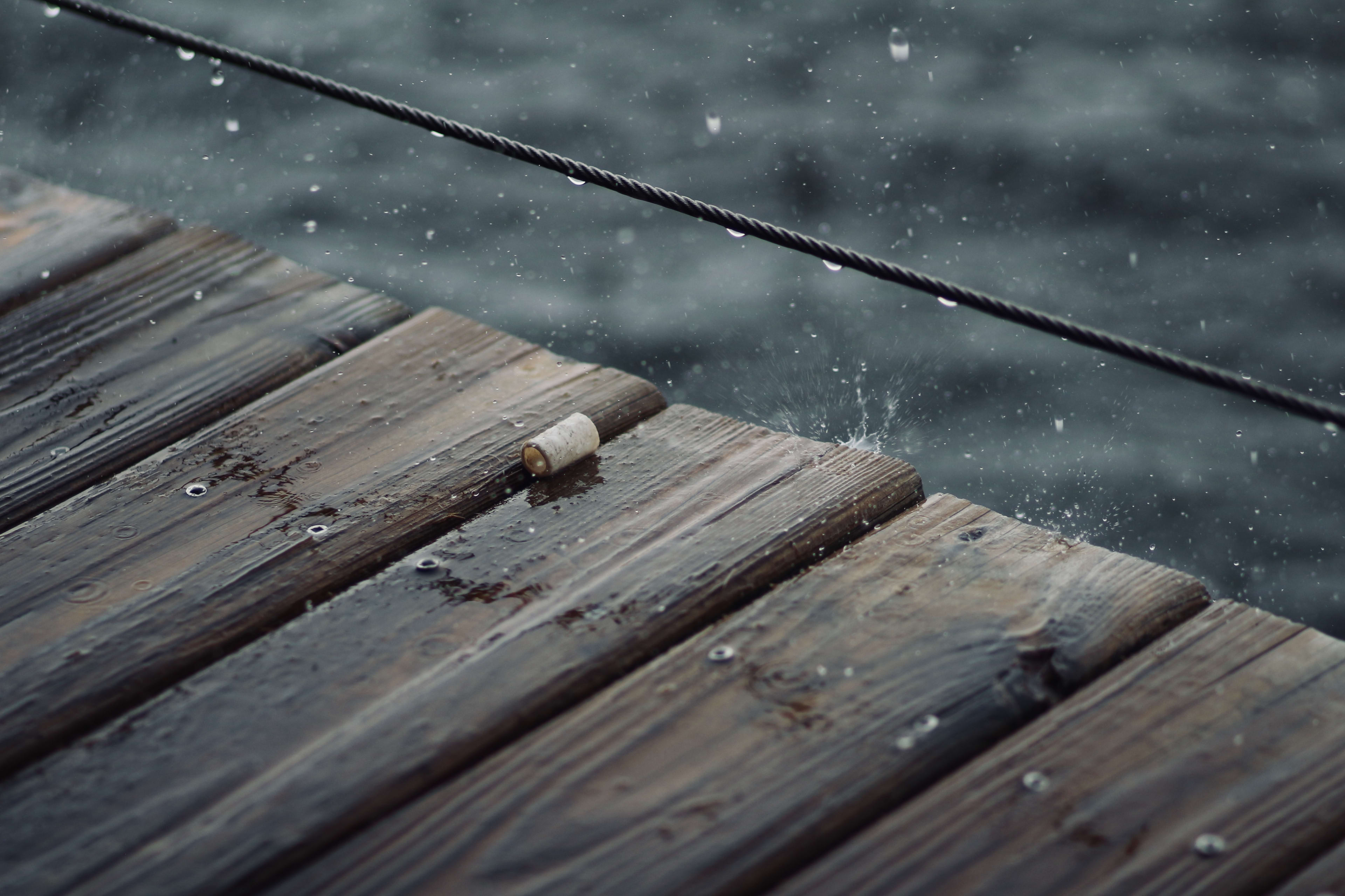 Ringes Photography — galleries transition