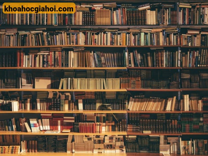 Luyện Tập Các Hàm Và Công Cụ Trong Excel, Chuẩn Bị Cho Các Kì Thi Cùng Học Excel Online