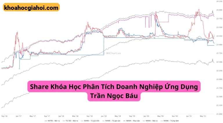 Khóa Học Phân Tích Doanh Nghiệp Ứng Dụng Trần Ngọc Báu Mới Nhất 2023