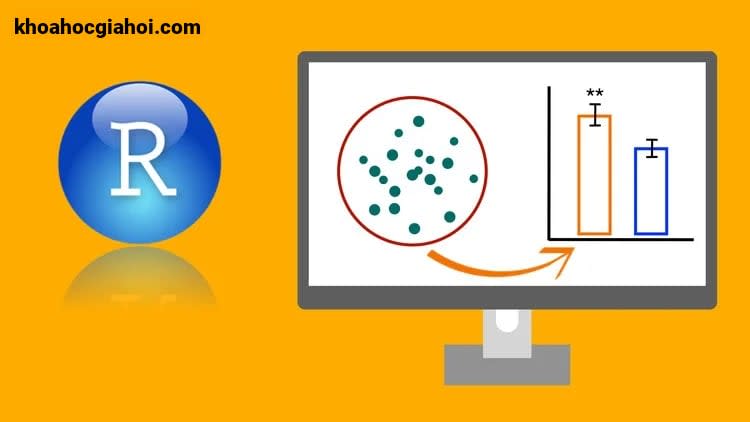 Khóa Học Phân Tích Dữ Liệu Bằng R Cho Người Mới Bắt Đầu