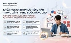 Khóa Học Chinh Phục Tiếng Hàn Trung Cấp 1 - Từng Bước Nâng Cao