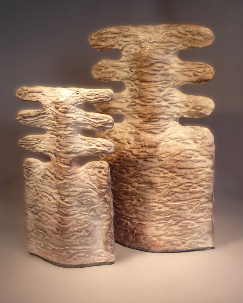 Les fausses jumelles