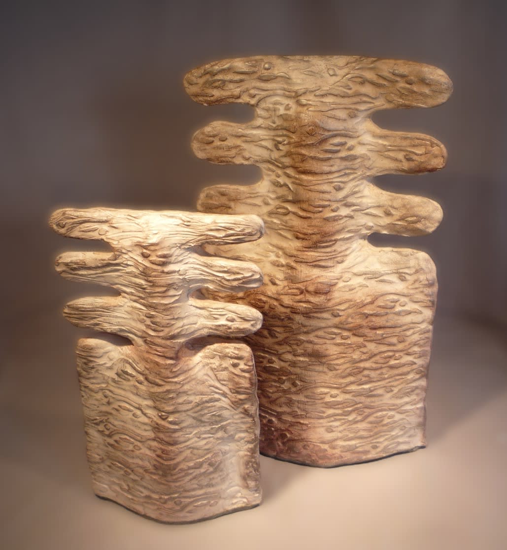 Les fausses jumelles - vue 1