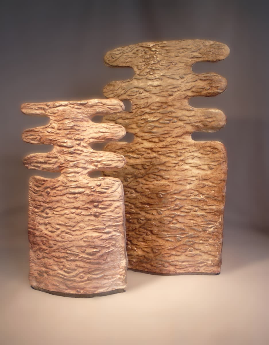 Les fausses jumelles - vue 2