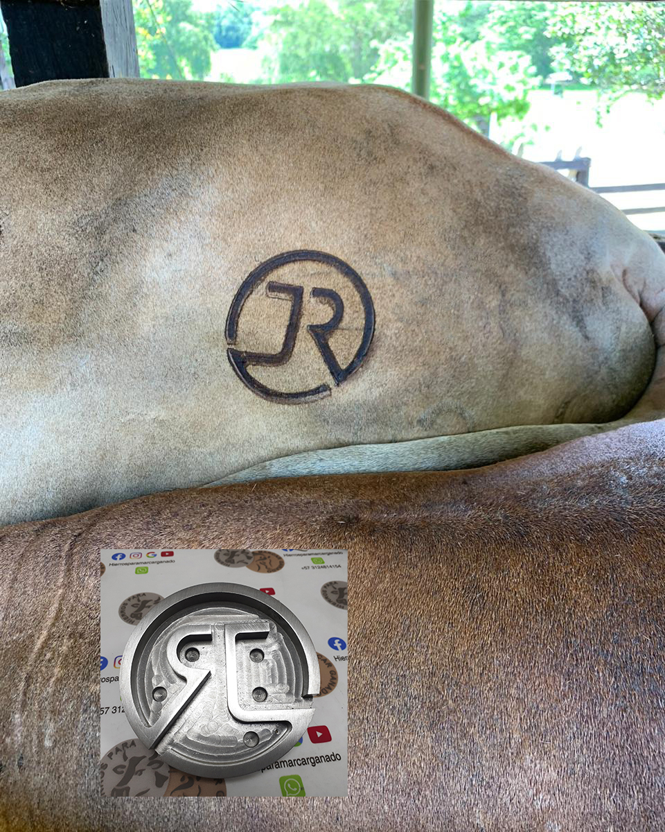 Hierro JR RTQ — hierro y marca en el mismo plano