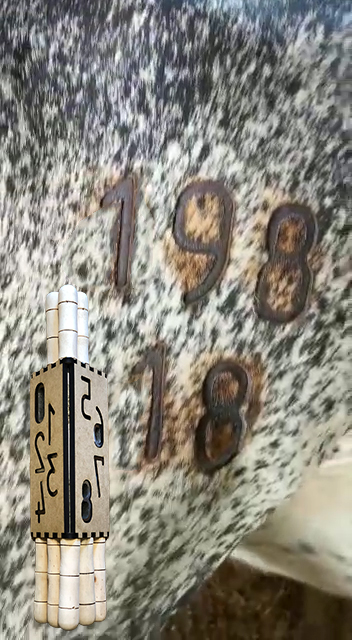 Juego completo de numeradores con estuche