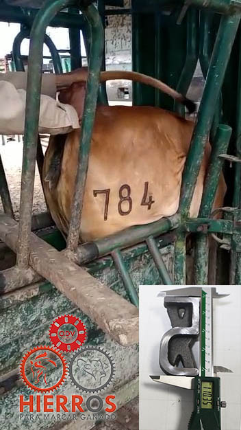 Numeradores de 11 cm en múltiples tamaños