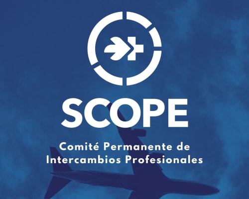 Actividad SCECSUV 15