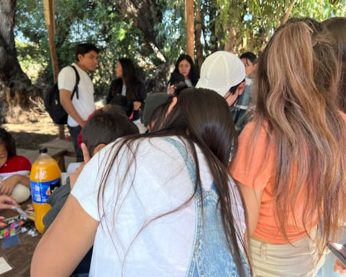 Actividad SCECSUV 55