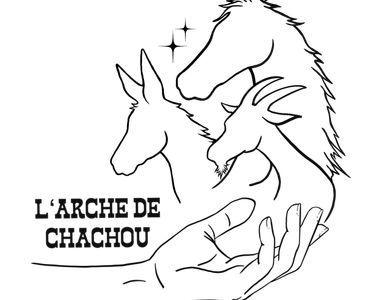 Arche Chachou