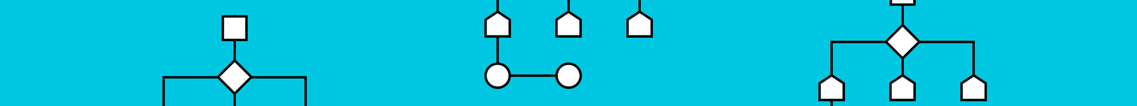 Algorithms & Data Structures