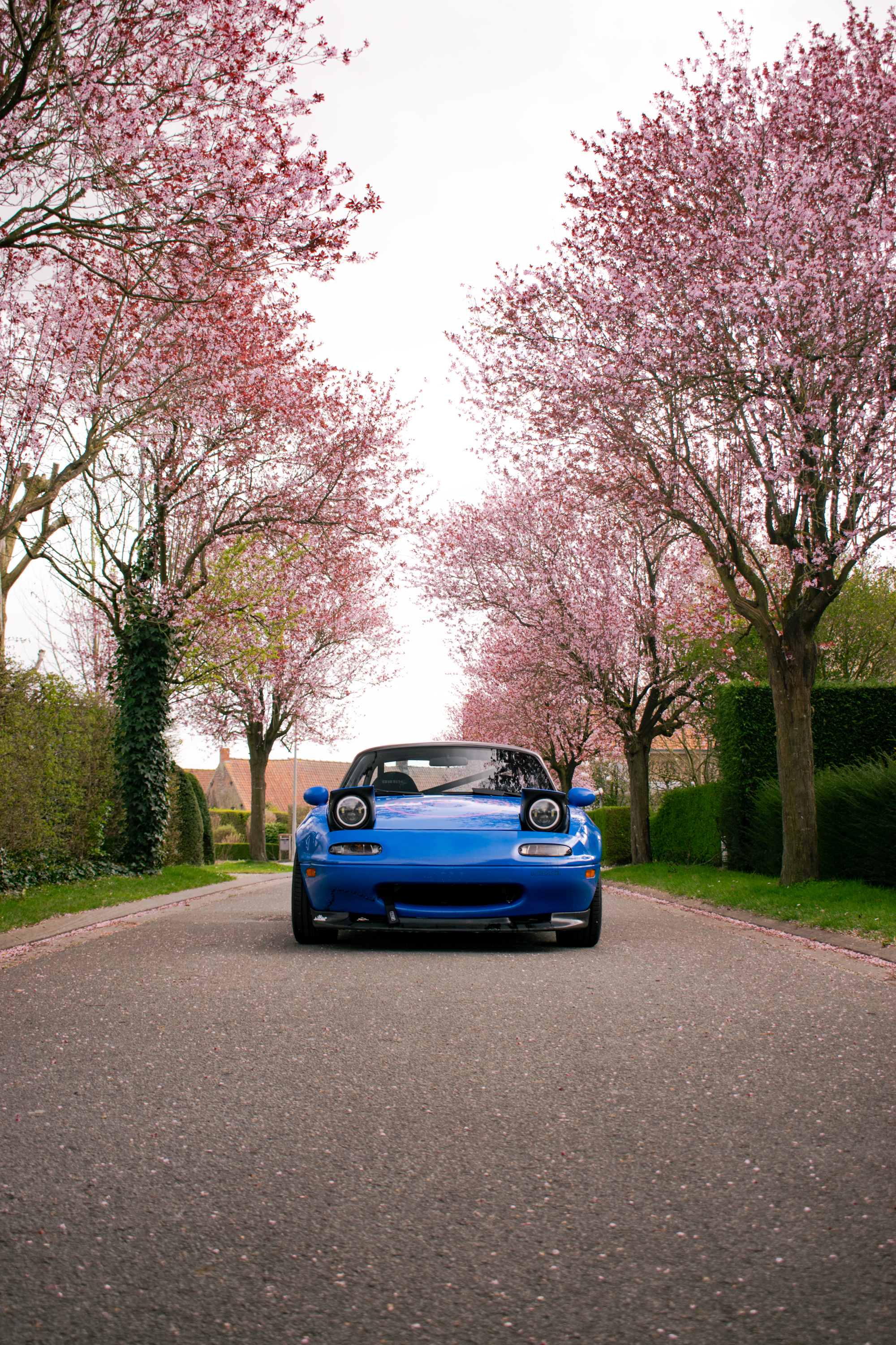 Mazda Miata photo 4