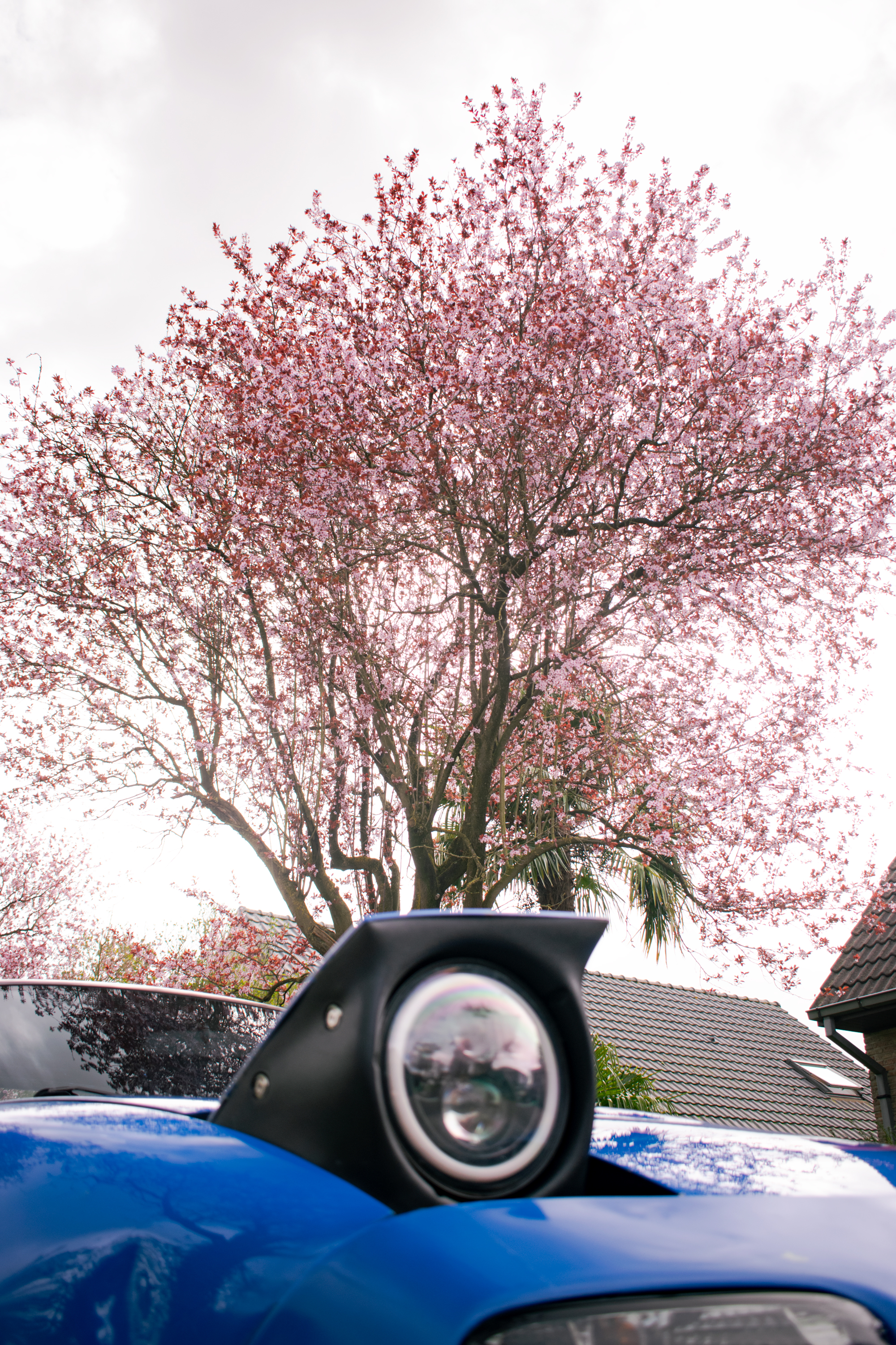 Mazda Miata photo 6