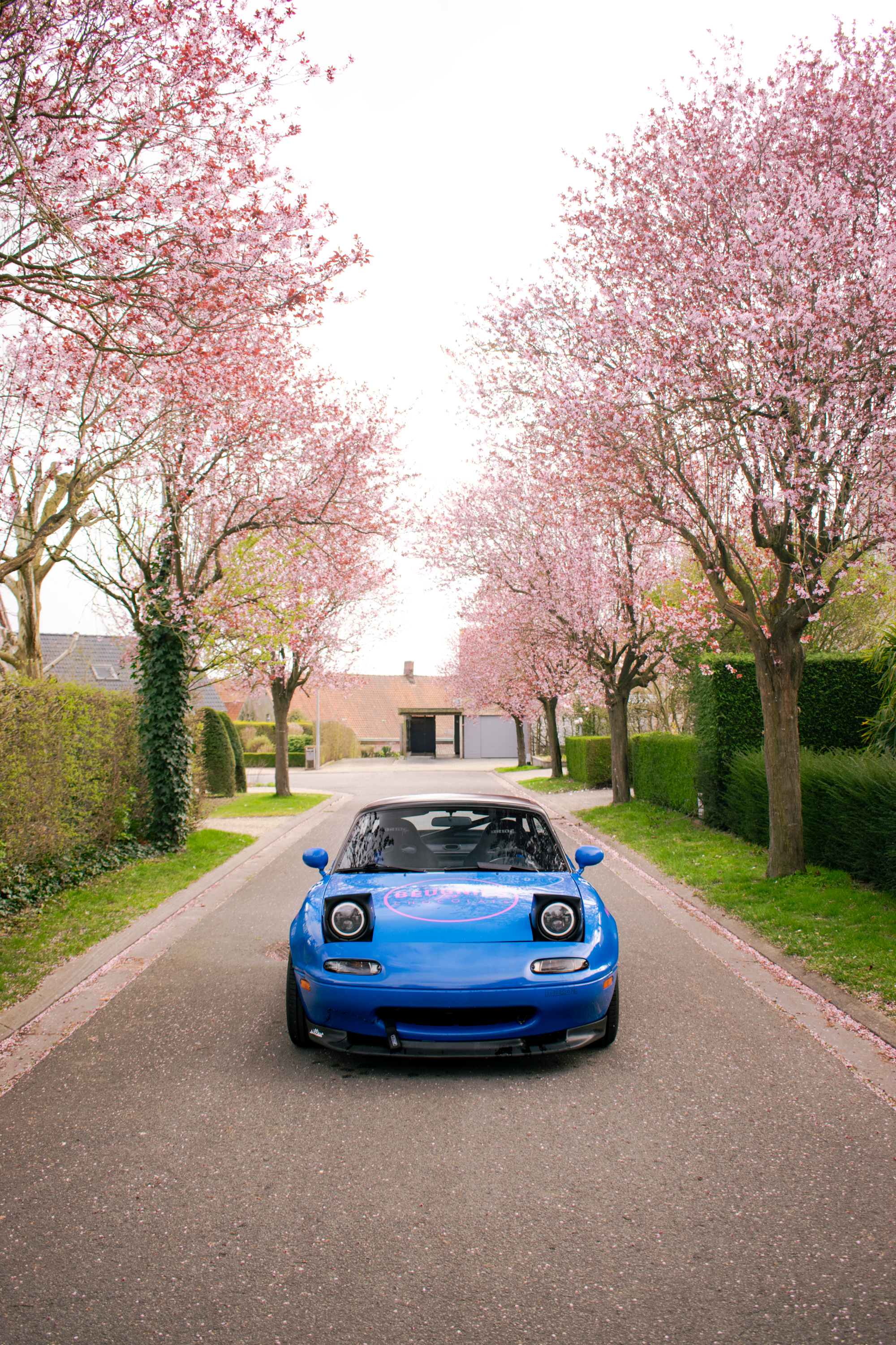 Mazda Miata photo 3