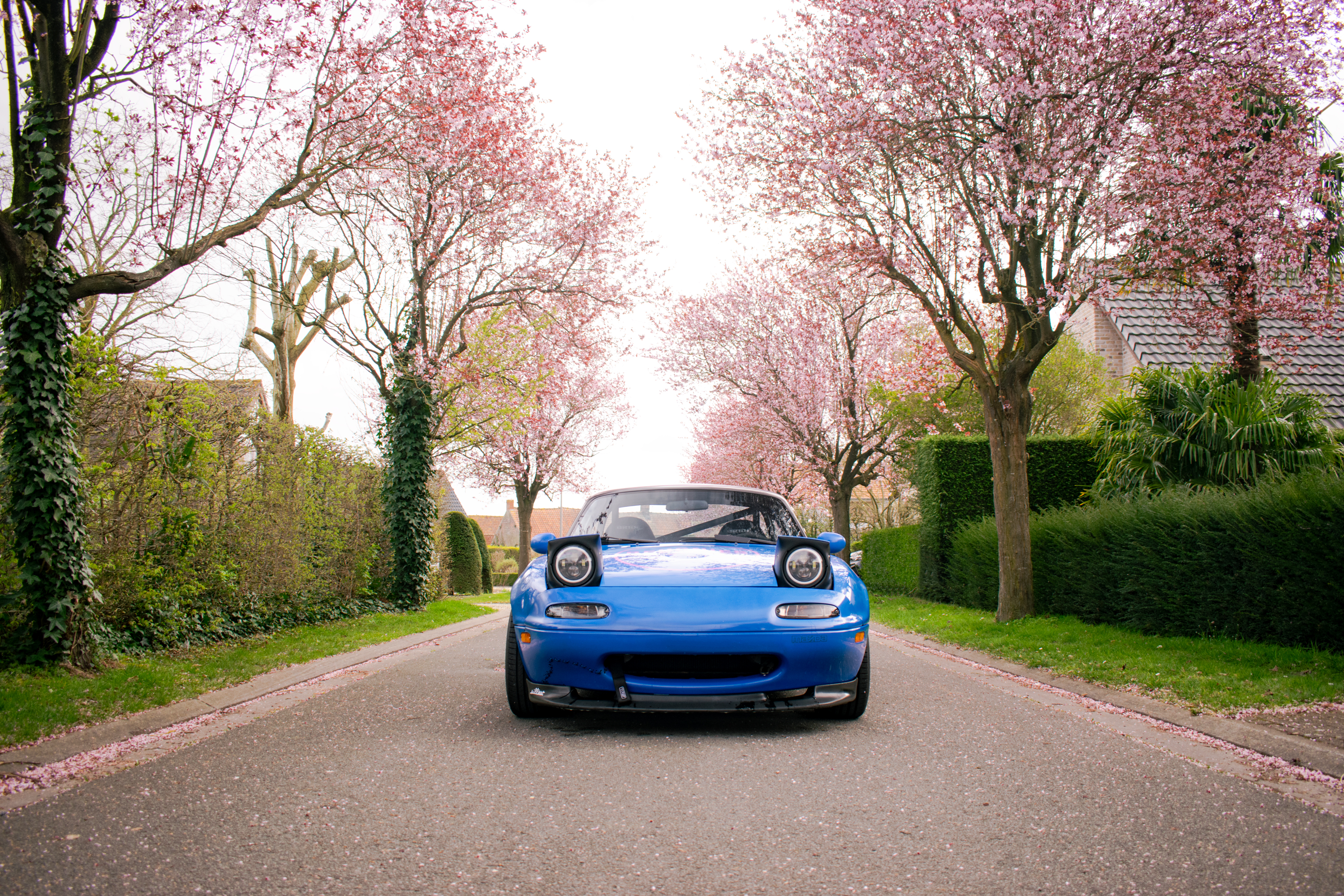 Mazda Miata photo 5