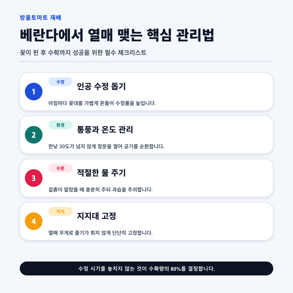 베란다에서 열매 맺는 핵심 관리법